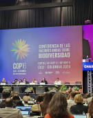 UN’s nature conservation body adopts Global Action Plan on Biodiversity and Health