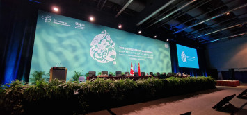 UN biodiversity summit adopts a new Global Biodiversity Framework