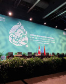 UN biodiversity summit adopts a new Global Biodiversity Framework