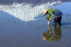 Major scientific report connects the dots between our pressing environmental challenges - biodiversity, food, water, health and climate