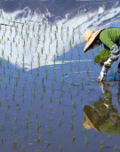 Major scientific report connects the dots between our pressing environmental challenges - biodiversity, food, water, health and climate