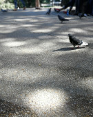 Cohab Partner Spotlight - new series