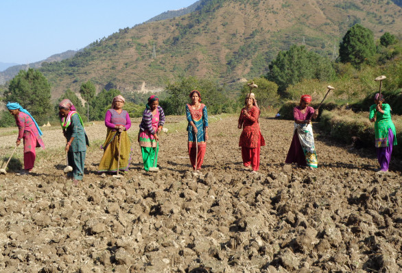 Cohab Initiative's new strategic plan is put into action